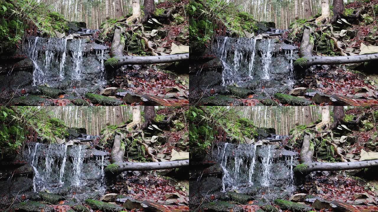 小瀑布的景色在石墙上流动，周围是青苔和树叶的绿色背景。瀑布的特写镜头，泉水落在岩石上