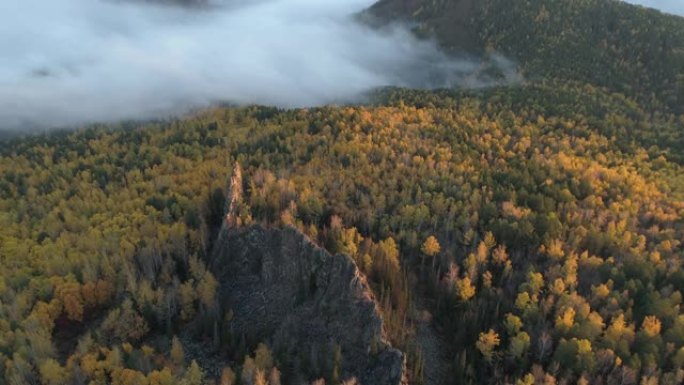西伯利亚针叶林克拉斯诺亚尔斯克国家保护区斯托尔比的雾中岩石羽毛