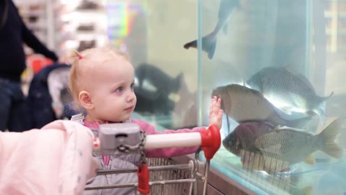 杂货店里的小女孩在一家超市的鱼部看着鱼