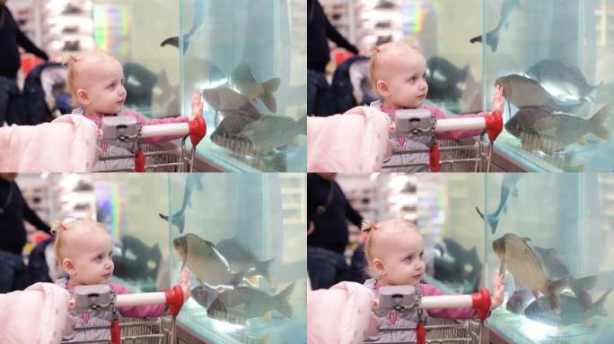 杂货店里的小女孩在一家超市的鱼部看着鱼