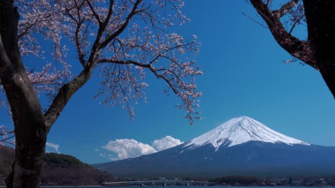 4k视频: Mt。日本河口子藤吉田的富士。