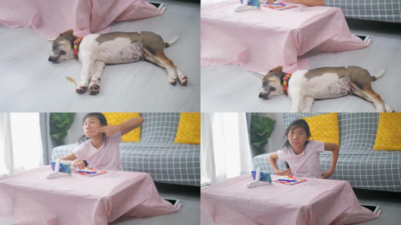 亚洲女孩在家在线学习家庭教育，她的狗睡在地板上，检疫生活方式的概念