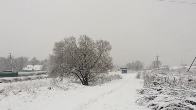 降雪。大片雪花慢慢落下。