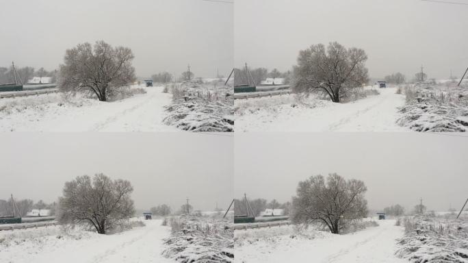 降雪。大片雪花慢慢落下。