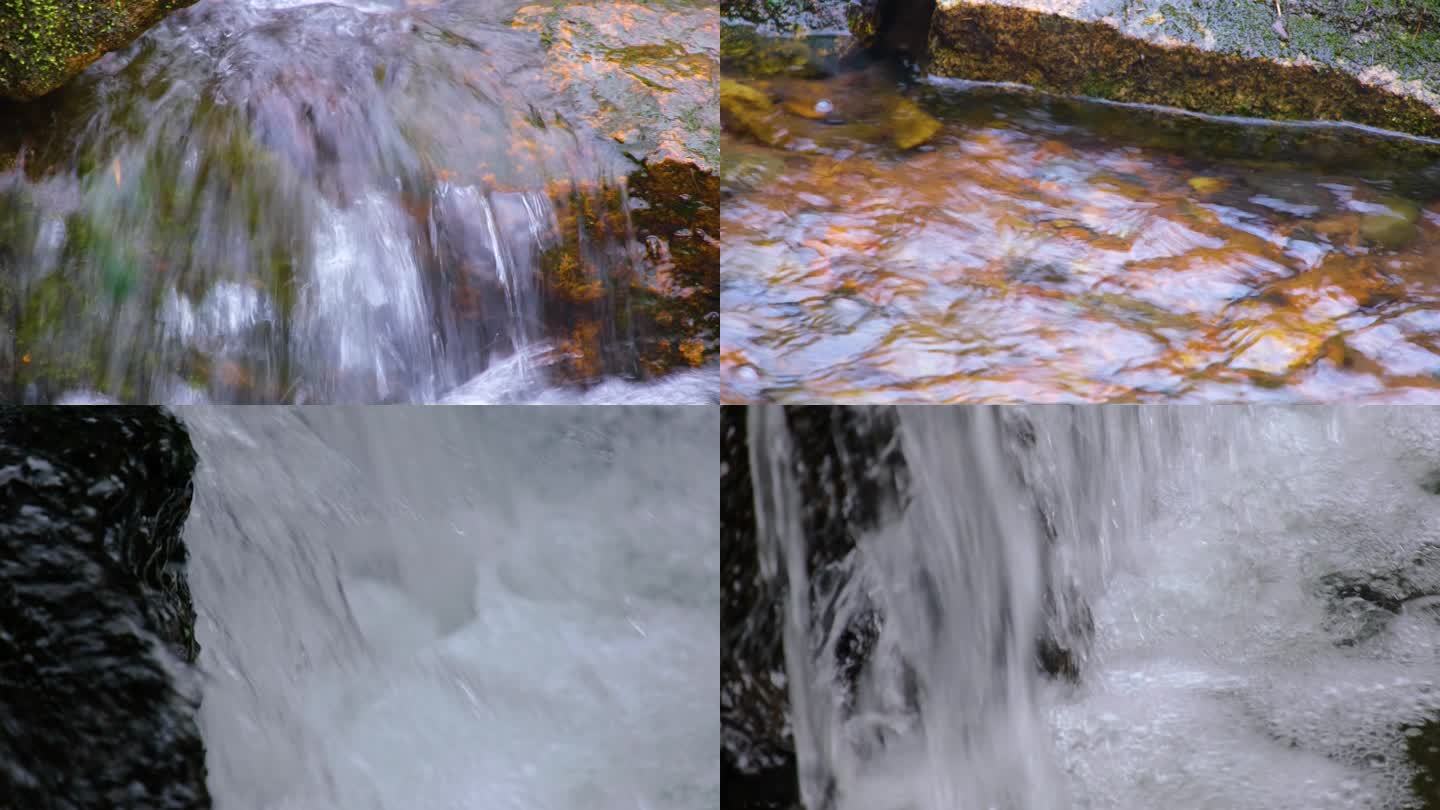 杭州植物园小溪流水风景视频素材900