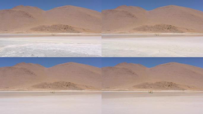 在玻利维亚南部的波尔克斯温泉进行空中射击