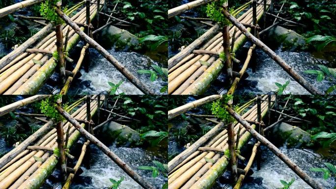 泰国清迈因他农国家公园雨林中的小溪上的竹桥或苔藓落水