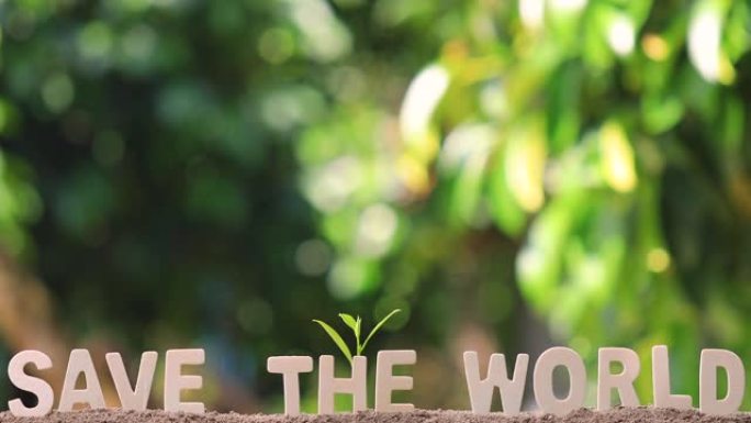 “拯救世界” 一词，带有木制字母。
