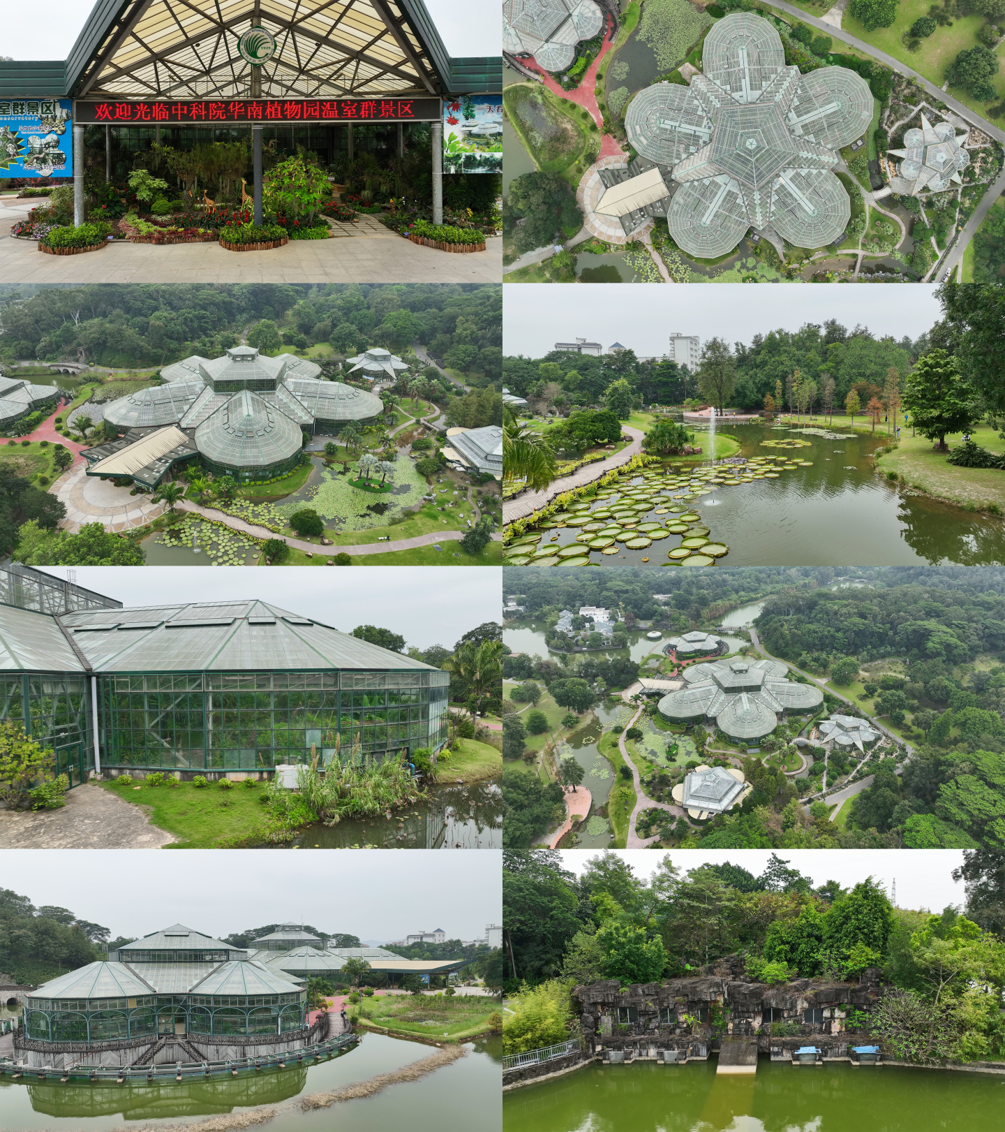 4K航拍华南植物园
