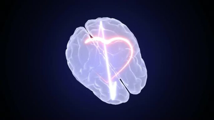 心脏脉搏和大脑动画3d。医学和科学。心跳背景。