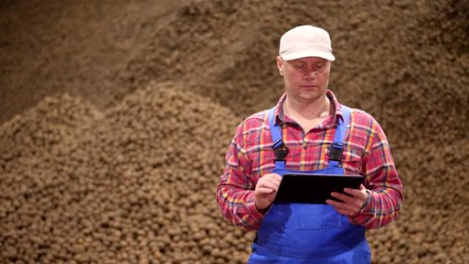 农民用数字平板电脑监控土豆的质量。马铃薯背景，在仓储仓库。马铃薯收获、农业、食品工业