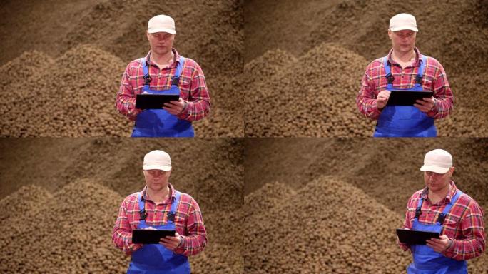 农民用数字平板电脑监控土豆的质量。马铃薯背景，在仓储仓库。马铃薯收获、农业、食品工业