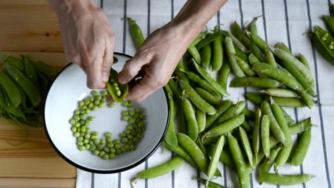 男人用手去壳新鲜成熟的绿豌豆豆