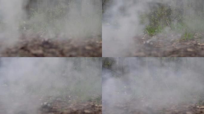 雾霾背景。抽象的烟云。在森林背景上慢动作的烟雾。白烟慢慢漂浮在太空中。