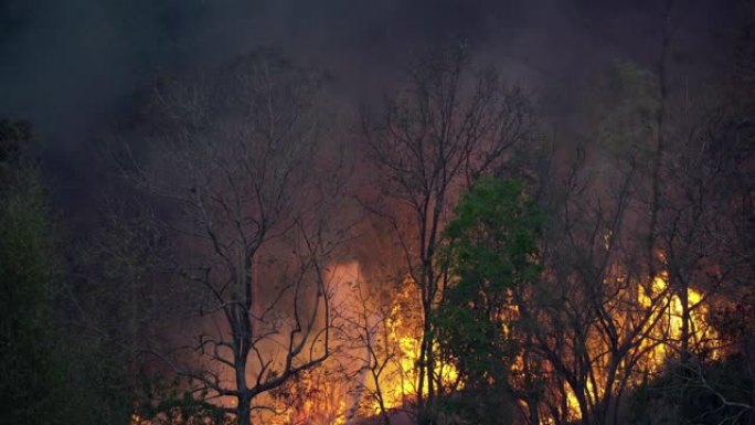 消防员向森林大火喷水