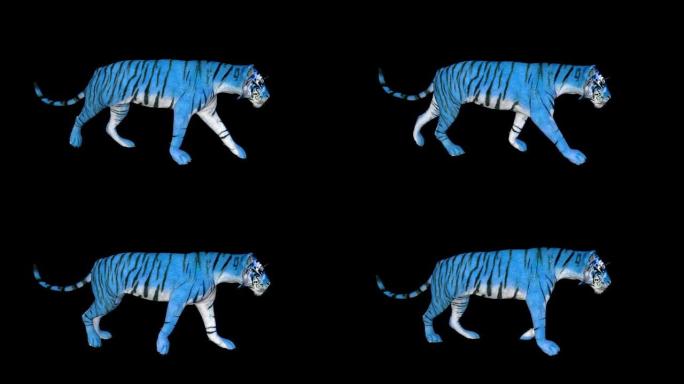 3D模型蓝水老虎行走，动画透明背景