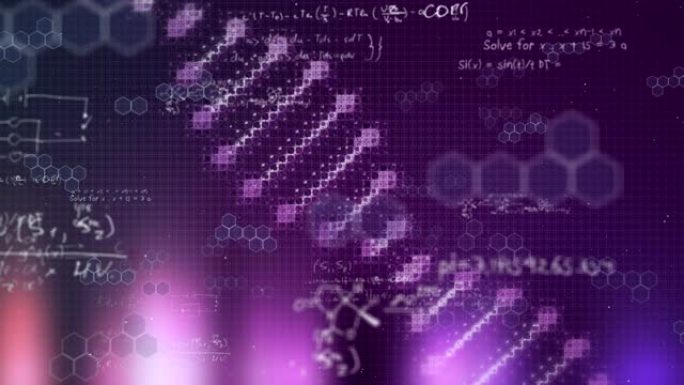 漂浮在紫色和黑色背景上的数学方程的DNA菌株旋转的动画