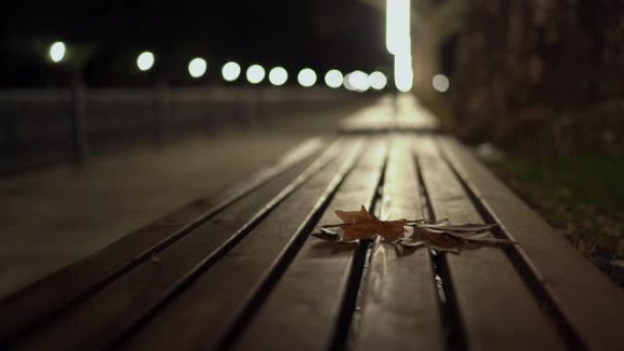 城市河堤上的灯笼照亮了夜晚的秋天，落叶落在长凳上