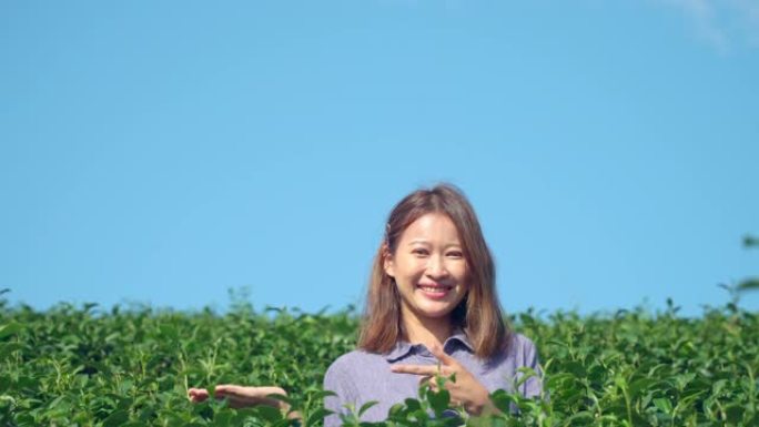 4k微笑的年轻美丽的亚洲女人站在阳光明媚的夏日蓝天的绿茶种植园里，并指向广告产品。春天享受大自然的漂
