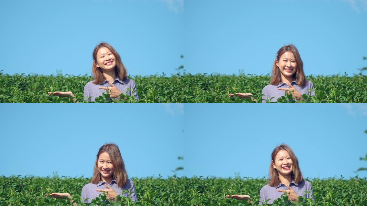 4k微笑的年轻美丽的亚洲女人站在阳光明媚的夏日蓝天的绿茶种植园里，并指向广告产品。春天享受大自然的漂