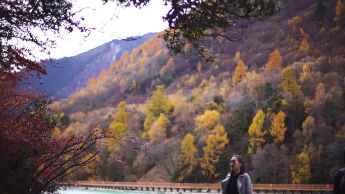 航拍五彩风景区五花山 丛林黄叶枫叶