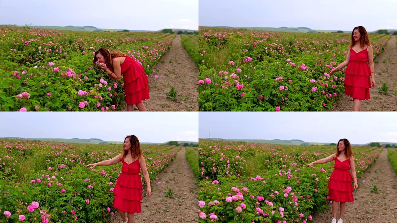 穿红衣服的女人走在盛开的玫瑰花园里