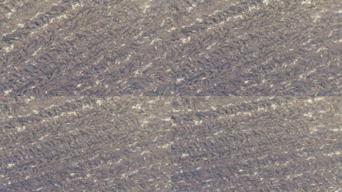 航拍东北黑土地