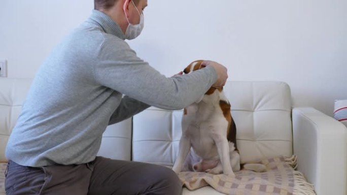 听话的狗同意戴口罩以降低家庭患病风险