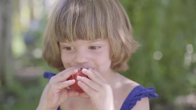 吃健康的饮食。控制儿童营养，实现理想的健康发展。小女孩用脏手吃生物有机新鲜番茄。