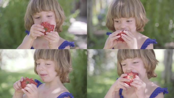 吃健康的饮食。控制儿童营养，实现理想的健康发展。小女孩用脏手吃生物有机新鲜番茄。