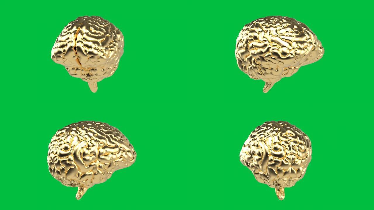 黄金大脑