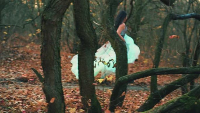后视神秘的女人穿着奢华的蓬松浅绿色连衣裙逃跑了。哥特式秋天森林中的神话般的公主。真丝织物深色长发在运