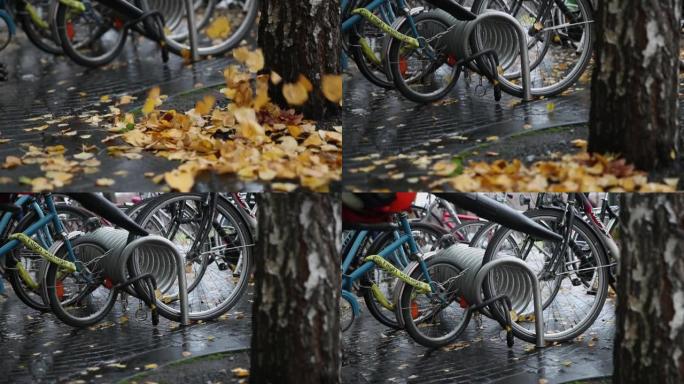 看门人正在慢动作清洁自行车附近公园的落叶