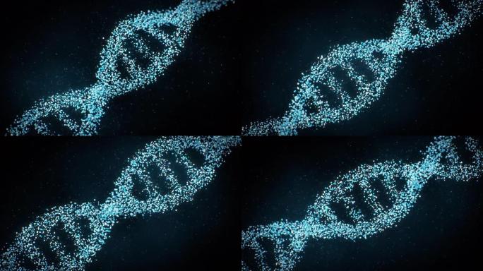 由粒子制成的DNA螺旋旋转