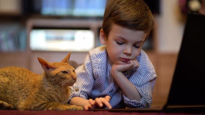 有趣的孩子和小猫在家里用笔记本电脑
