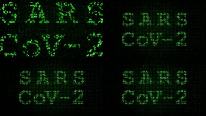 SARS-CoV-2测试-数字数据码矩阵