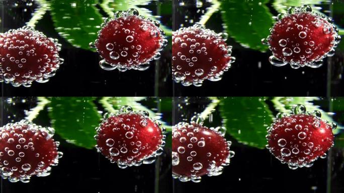 苏打水气泡玻璃中的成熟樱桃视频