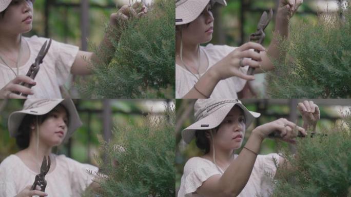 快乐而积极的亚洲女人修剪一棵树。