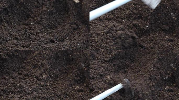 在菜园的大托盘中，将土壤与有机肥料中的养分混合倒入。有机农业概念。