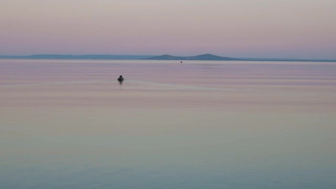 匈牙利巴拉顿湖上有野鸭的漂亮日出之光