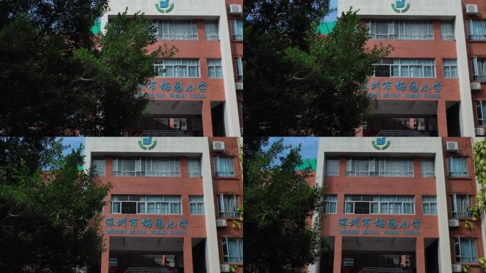 深圳梅园小学 福田 小学