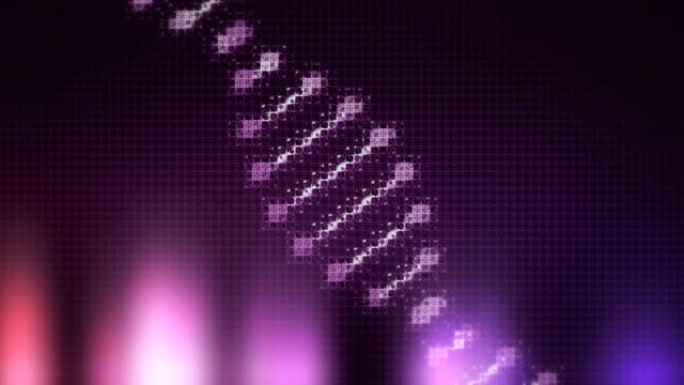 紫色和黑色背景上的紫色DNA菌株旋转的动画