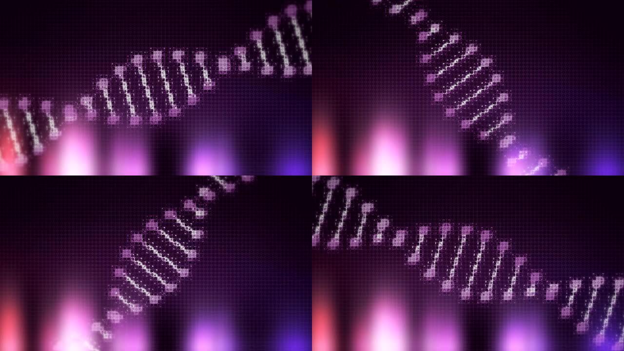 紫色和黑色背景上的紫色DNA菌株旋转的动画