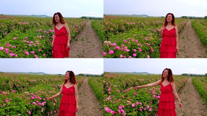 穿红衣服的女人走在盛开的玫瑰花园里