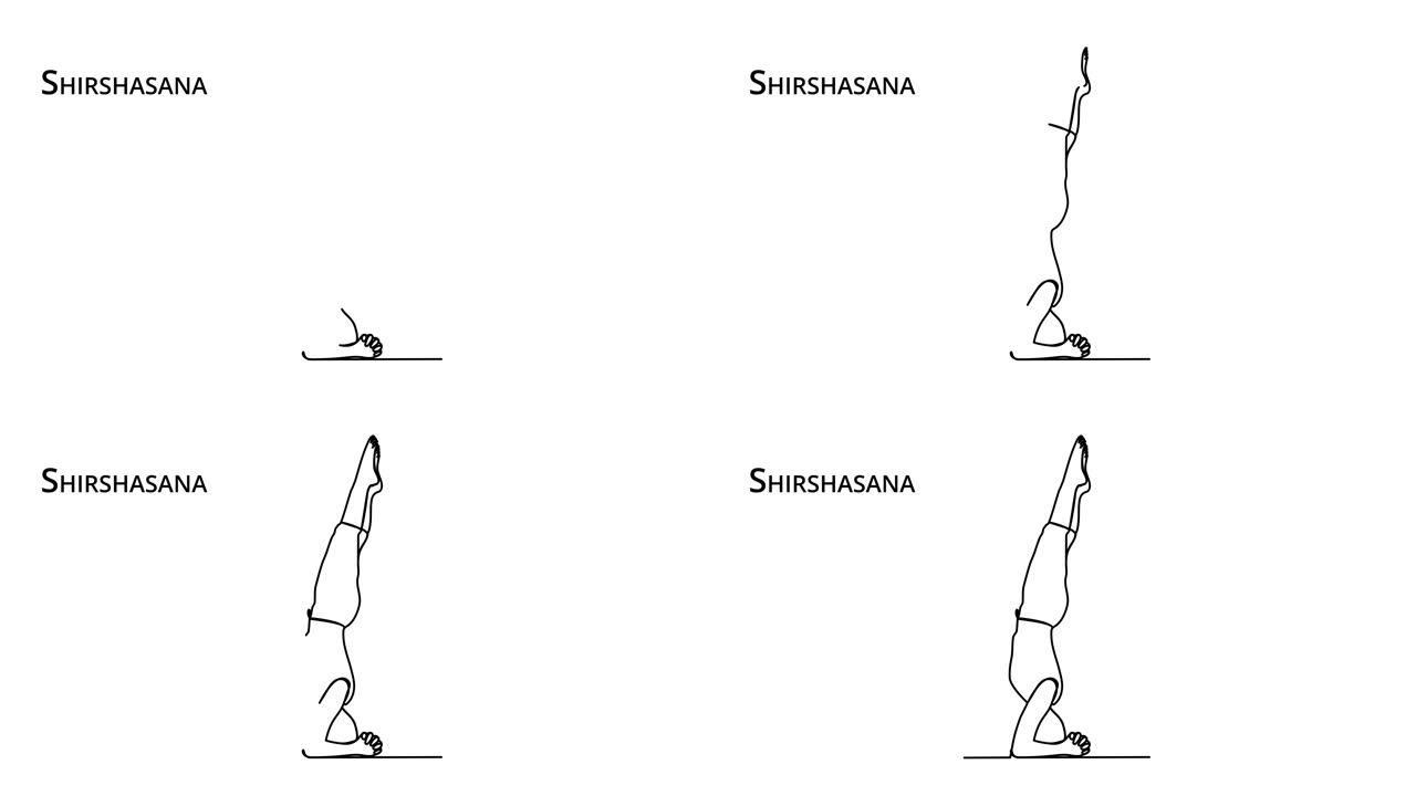 瑜伽姿势的自画动画 ..倒立。连续线性绘图