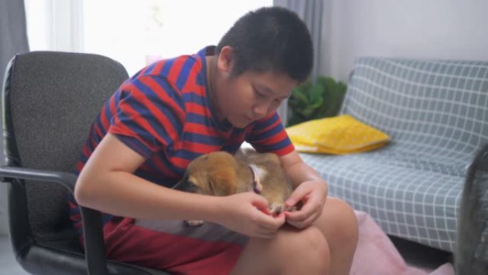 快乐的亚洲青春期男孩在家里玩小狗，生活方式的概念。
