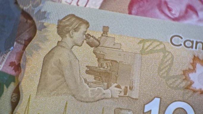 加拿大元100收起。加元货币。