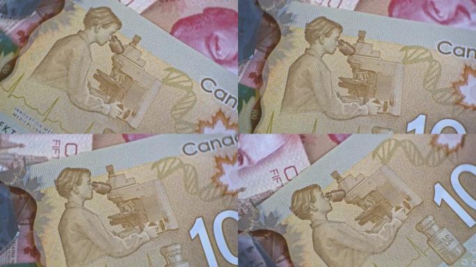 加拿大元100收起。加元货币。