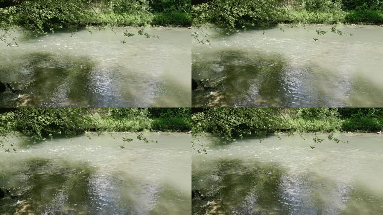 五月。瑞士布鲁格的阿瑞河。在检疫期间。