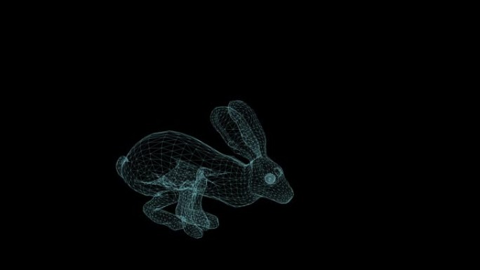 黑底奔跑的兔子线框动画